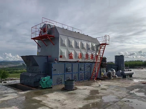 生物質鍋爐案例